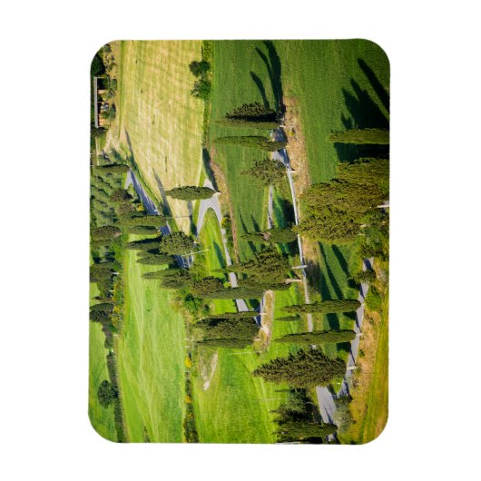 Cypress gevoerde weg in Toscane rechthoekige magne Magneet (Verticaal)