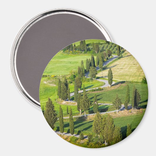 Cypress gevoerde weg in Toscane ronde magneet (Voorkant / Achterkant)