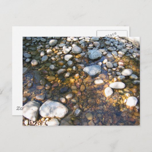 Cypress Hills, Alb. Canada Briefkaart (Voorkant / Achterkant)