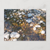 Cypress Hills, Alb. Canada Briefkaart (Voorkant)