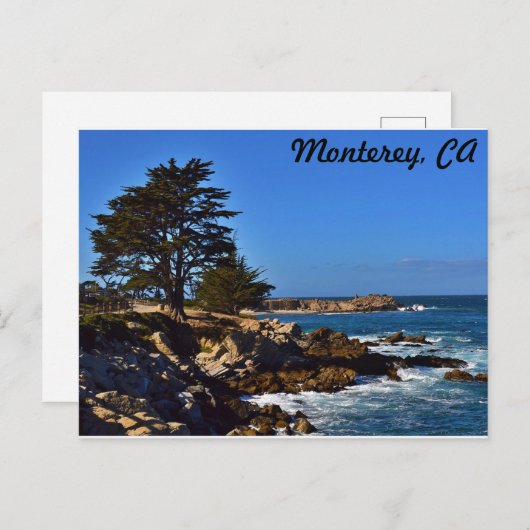 Cypress in Monterey Briefkaart (Voorkant / Achterkant)