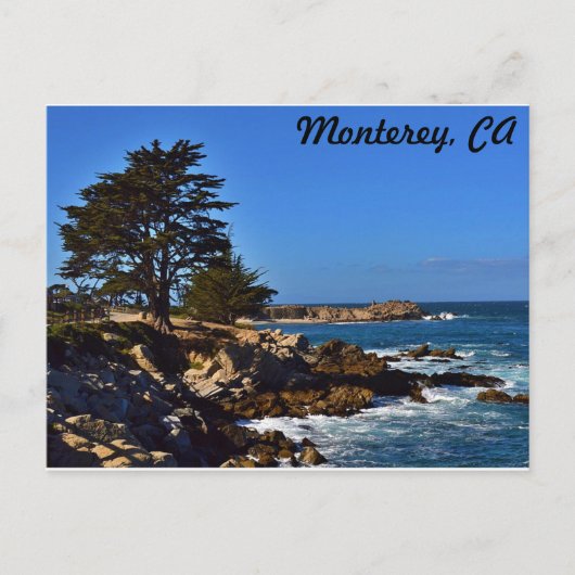 Cypress in Monterey Briefkaart (Voorkant)