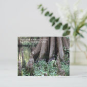 Cypress Knees Briefkaart (Staand voorkant)