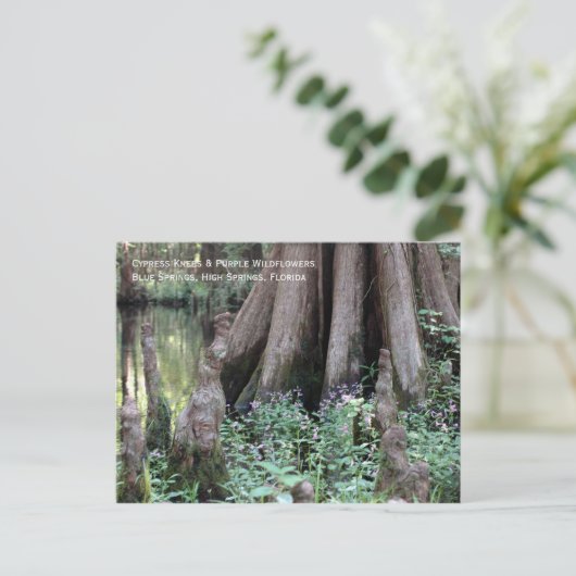 Cypress Knees Briefkaart (Staand voorkant)