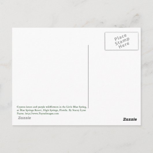 Cypress Knees Briefkaart (Achterkant)