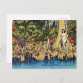  Cypress Knees in Florida Cypress Gardens Briefkaart (Voorkant / Achterkant)