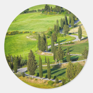 Cypress kronkelende weg in Toscane rond de sticker