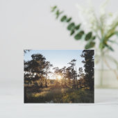 Cypress Lake Briefkaart (Staand voorkant)