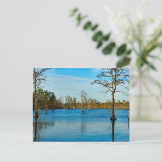 Cypress Lake Briefkaart (Staand voorkant)