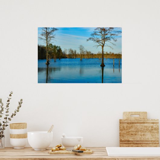 Cypress Lake Poster (Keuken)