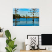 Cypress Lake Poster (Thuiskantoor)