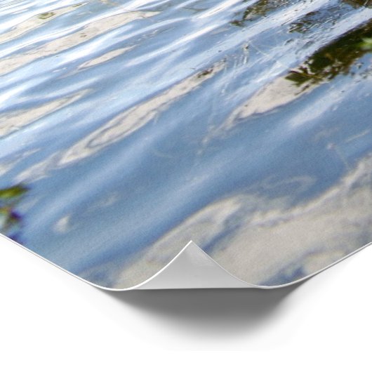 Cypress Lake Poster (Hoek)