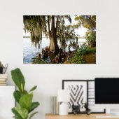 Cypress Lake Poster (Thuiskantoor)