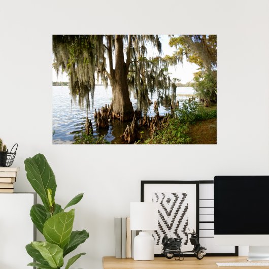 Cypress Lake Poster (Thuiskantoor)