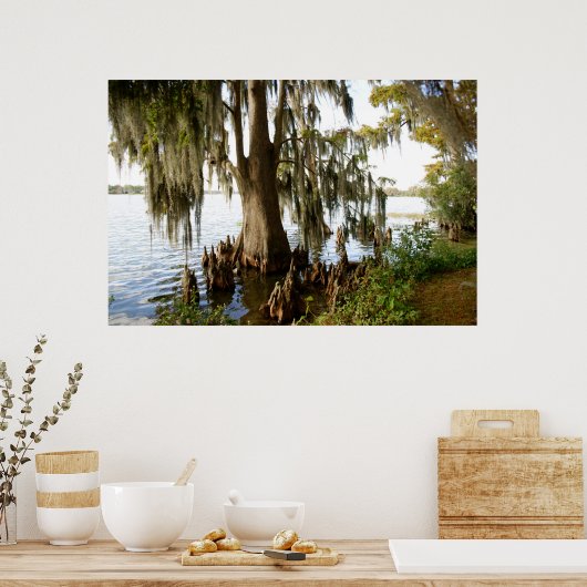 Cypress Lake Poster (Keuken)