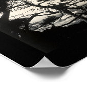 Cypress Point Monterey Foto 1907 Poster (Hoek)