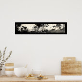 Cypress Point Monterey Foto 1907 Poster (Keuken)