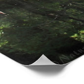 Cypress River A Part Poster -60x40 -of kleiner (Hoek)