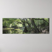 Cypress River Panoramic Poster -60x20 -of kleiner (Voorkant)