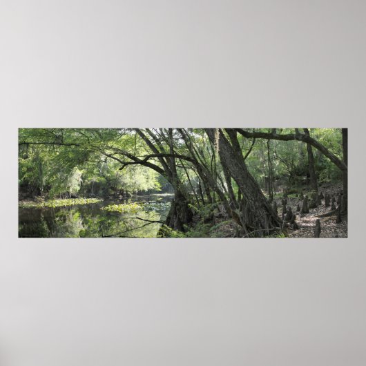 Cypress River Panoramic Poster -60x20 -of kleiner (Voorkant)
