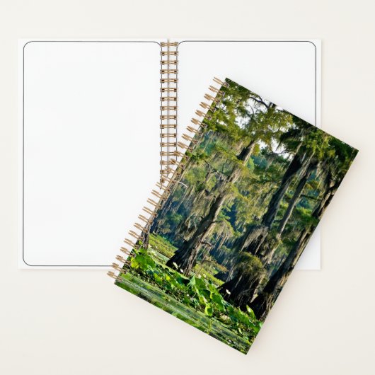 Cypress Schetsboek - 001 Notitieboek (Binnen)