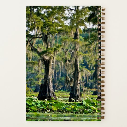 Cypress Schetsboek - 001 Notitieboek (Achterkant)