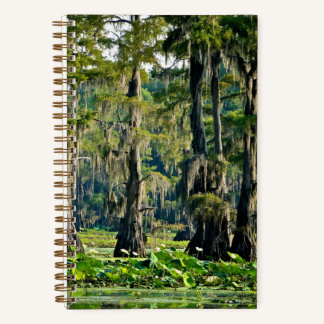 Cypress Schetsboek - 001 Notitieboek