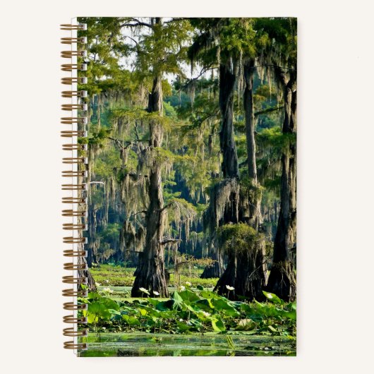 Cypress Schetsboek - 001 Notitieboek (Voorkant)