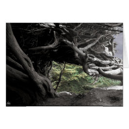 Cypress Skeleton - kaart