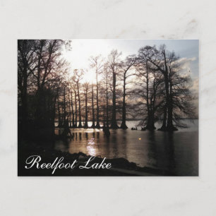 Cypress Sunset bij Reelfoot Briefkaart