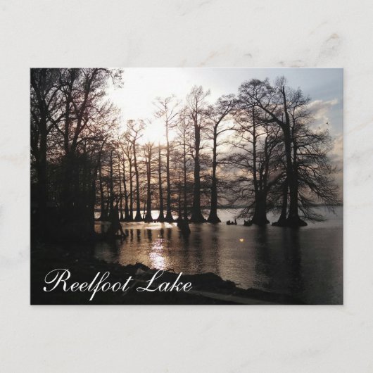 Cypress Sunset bij Reelfoot Briefkaart (Voorkant)