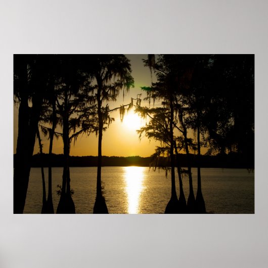 Cypress Sunset Poster (Voorkant)