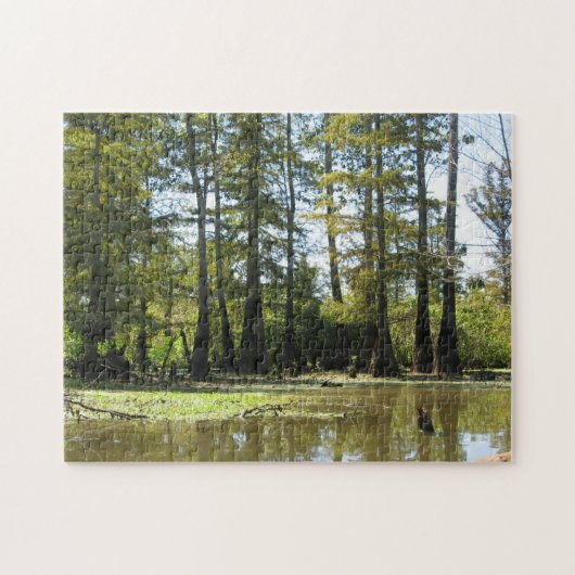 Cypress Swamp Landscape Legpuzzel (Horizontaal)