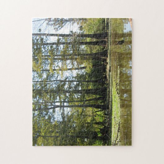 Cypress Swamp Landscape Legpuzzel (Verticaal)