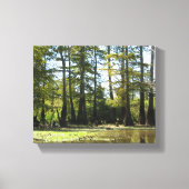Cypress Swamp Landschap Canvas Afdruk (Voorkant)