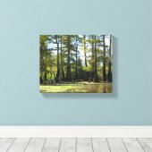 Cypress Swamp Landschap Canvas Afdruk (Insitu (Houten vloer))