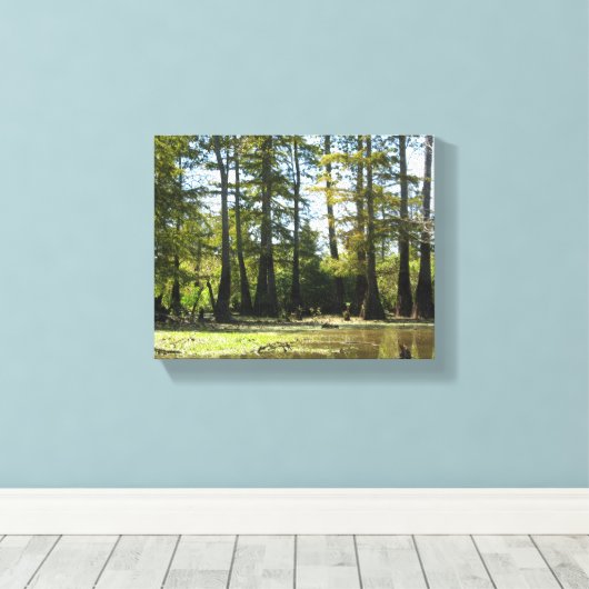 Cypress Swamp Landschap Canvas Afdruk (Insitu (Houten vloer))