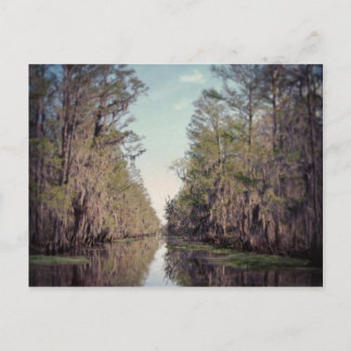 Cypress Swamp : Louisiana Briefkaart
