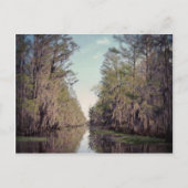 Cypress Swamp : Louisiana Briefkaart (Voorkant)