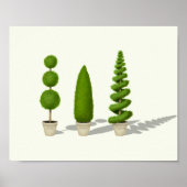  Cypress Topiaries "Live Grow Thrive" Poster (Voorkant)