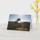 Cypress Tree Card Kaart (Gele Bloem)