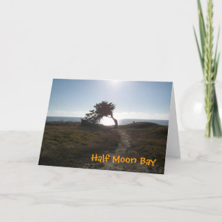 Cypress Tree Card Kaart