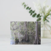 Cypress Trees Briefkaart (Staand voorkant)