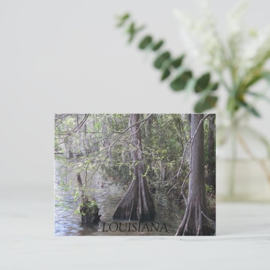 Cypress Trees Briefkaart (Staand voorkant)