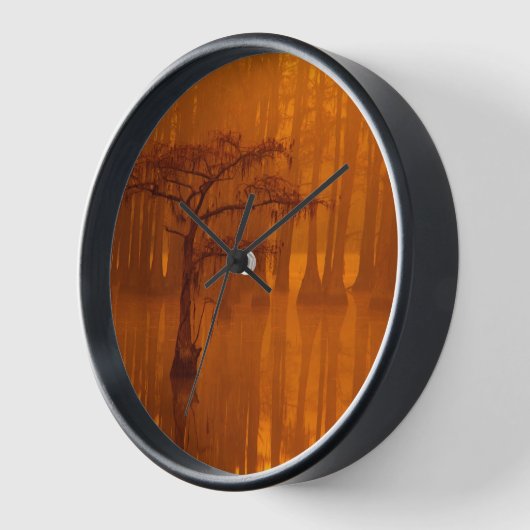 Cypress Trees | George Smith State Park (Hoek)