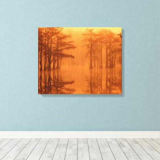 Cypress Trees George Smith State Park Canvas Afdruk (Insitu (Houten vloer))