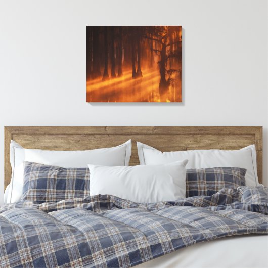 Cypress Trees | George Smith State Park Canvas Afdruk (Insitu (Slaapkamer))