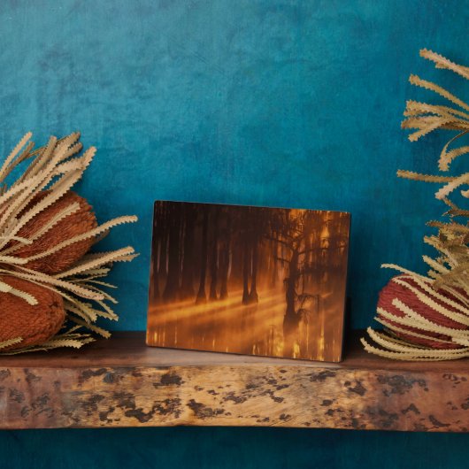 Cypress Trees | George Smith State Park Fotoplaat (Zijkant)