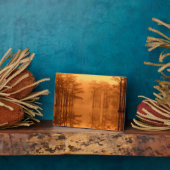 Cypress Trees George Smith State Park Fotoplaat (Zijkant)