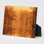 Cypress Trees George Smith State Park Fotoplaat (Zijkant)